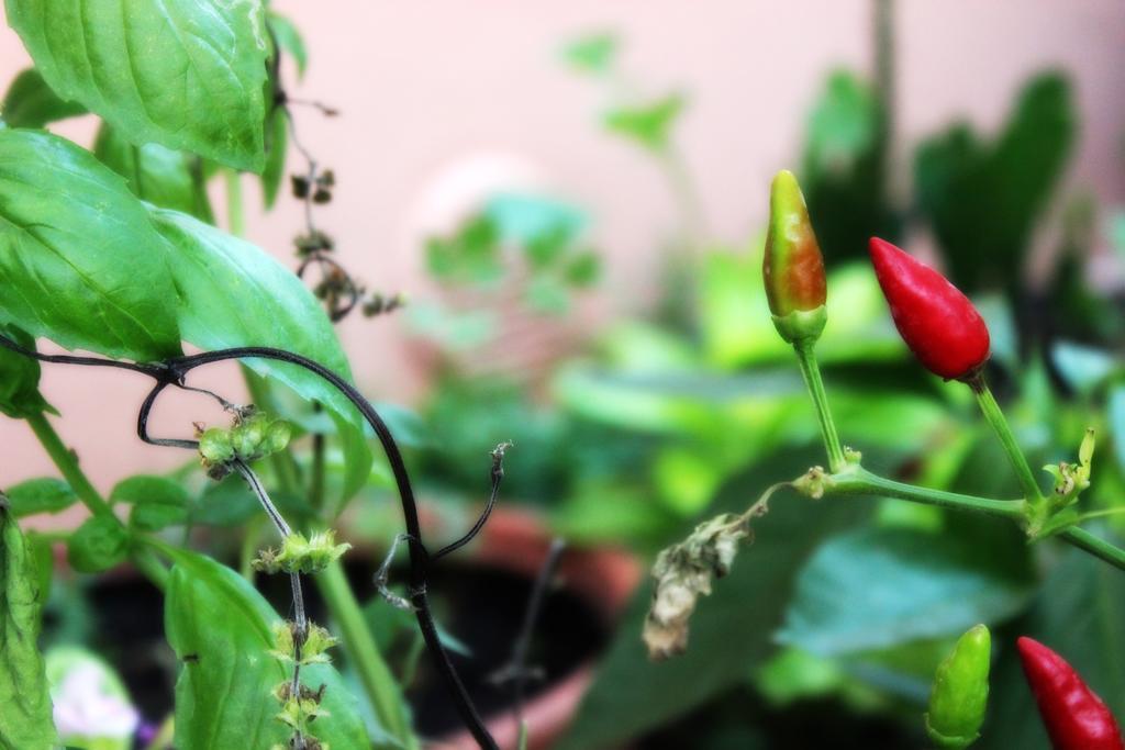 Casa Dei Furnari Apartment Collepasso Ngoại thất bức ảnh